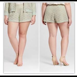Victoria Beckham for Target Mint Green Lace Eyelet Shorts Lined Plus Size 20w
